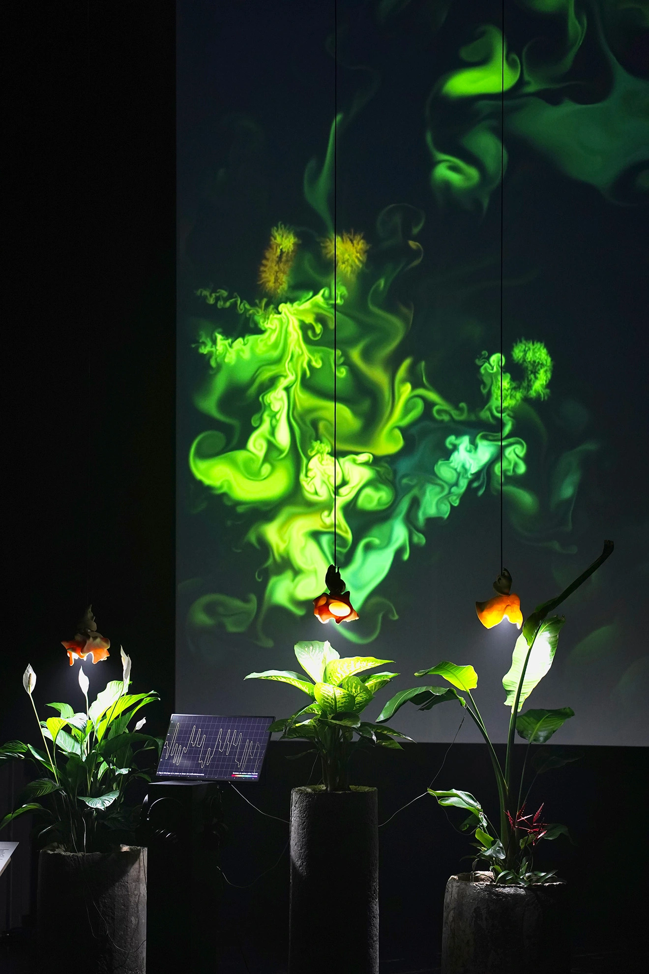 Installation Laser Volume par Onda