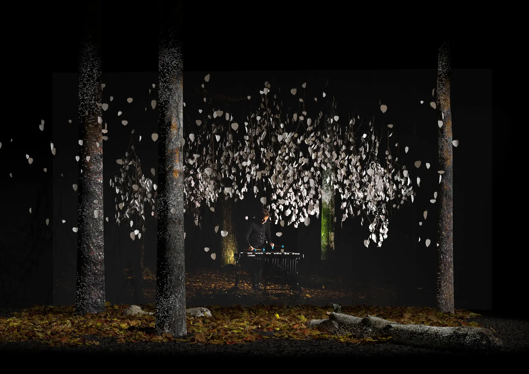 Installation Laser Volume par Onda